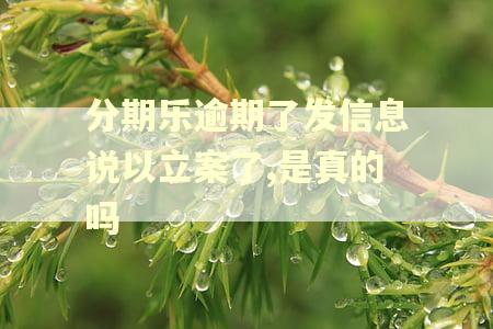 分期乐逾期了发信息说以立案了,是真的吗