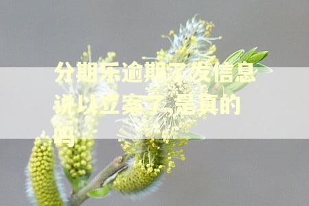 分期乐逾期了发信息说以立案了,是真的吗