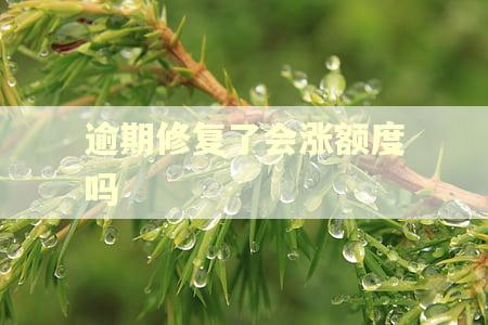 逾期修复了会涨额度吗