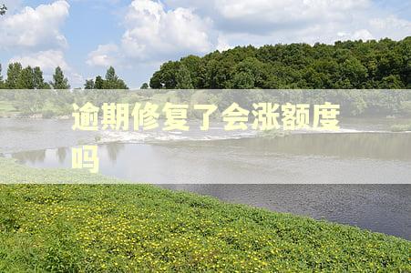 逾期修复了会涨额度吗