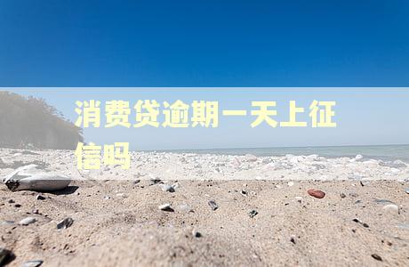 消费贷逾期一天上征信吗