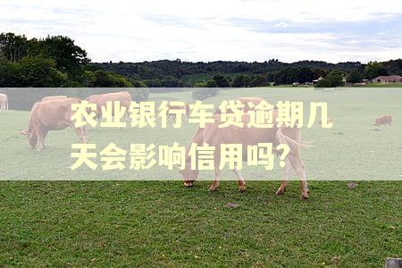农业银行车贷逾期几天会影响信用吗?