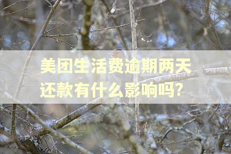 美团生活费逾期两天还款有什么影响吗?