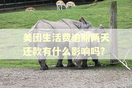 美团生活费逾期两天还款有什么影响吗?