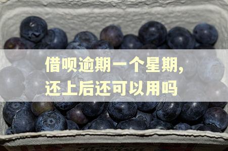借呗逾期一个星期,还上后还可以用吗