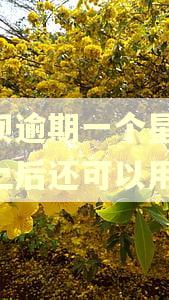 借呗逾期一个星期,还上后还可以用吗 借呗逾期一个星期,还上后还可以用吗