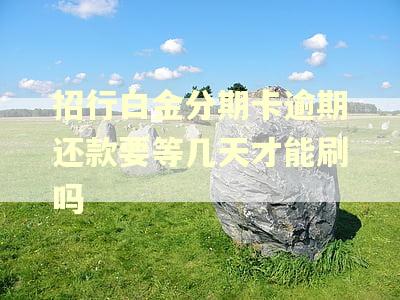 招行白金分期卡逾期还款要等几天才能刷吗