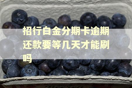 招行白金分期卡逾期还款要等几天才能刷吗