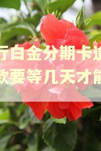 招行白金分期卡逾期还款要等几天才能刷吗