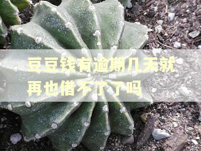 豆豆钱有逾期几天就再也借不了了吗