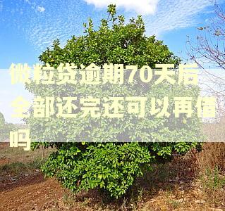 微粒贷逾期70天后全部还完还可以再借吗