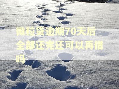 微粒贷逾期70天后全部还完还可以再借吗
