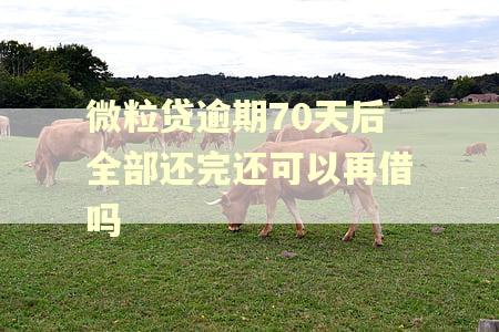 微粒贷逾期70天后全部还完还可以再借吗