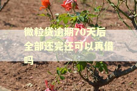 微粒贷逾期70天后全部还完还可以再借吗 微粒贷逾期70天后全部还完还可以再借吗