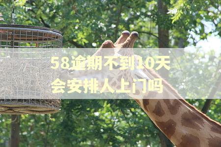 58逾期不到10天会安排人上门吗