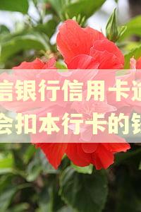 中信银行信用卡逾期了会扣本行卡的钱吗 中信银行信用卡逾期了会扣本行卡的钱吗