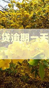 众安贷逾期一天有事吗