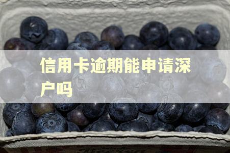 信用卡逾期能申请深户吗
