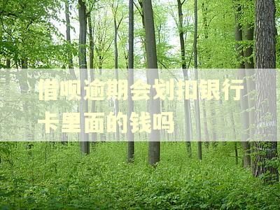 借呗逾期会划扣银行卡里面的钱吗