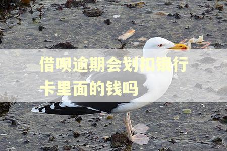 借呗逾期会划扣银行卡里面的钱吗 借呗逾期会划扣银行卡里面的钱吗