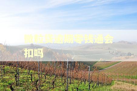 微粒贷逾期零钱通会扣吗 微粒贷逾期零钱通会扣吗