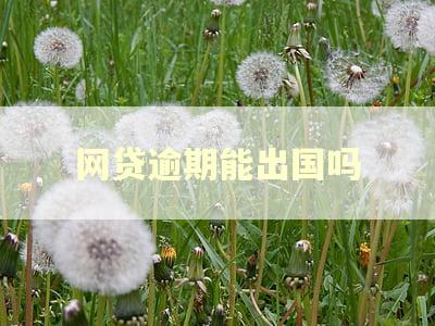 网贷逾期能出国吗