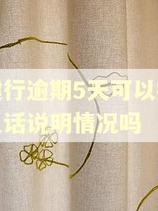 建行逾期5天可以打电话说明情况吗