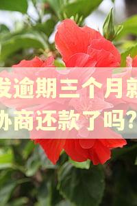 浦发逾期三个月就不能协商还款了吗?