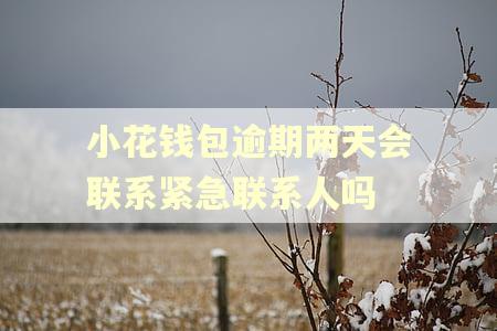 小花钱包逾期两天会联系紧急联系人吗