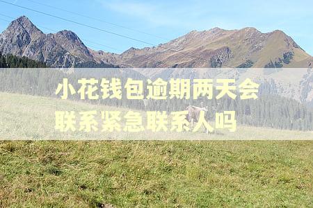 小花钱包逾期两天会联系紧急联系人吗 小花钱包逾期两天会联系紧急联系人吗