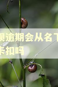 借呗逾期会从名下银行卡扣吗