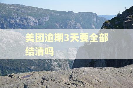美团逾期3天要全部结清吗