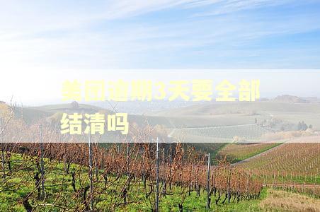 美团逾期3天要全部结清吗