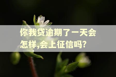 你我贷逾期了一天会怎样,会上征信吗?