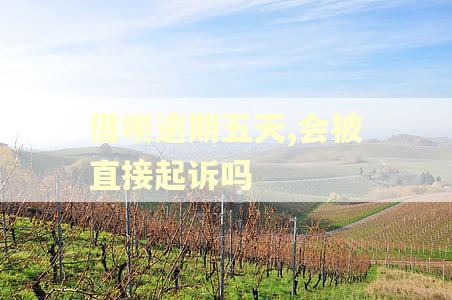 借呗逾期五天,会被直接起诉吗