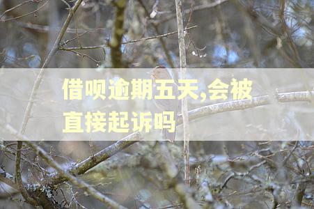 借呗逾期五天,会被直接起诉吗