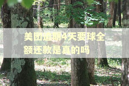 美团逾期4天要球全额还款是真的吗