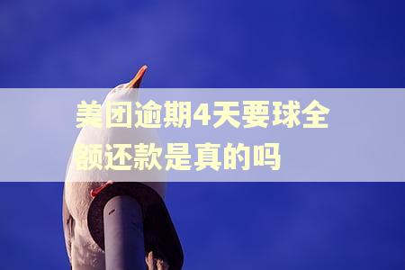 美团逾期4天要球全额还款是真的吗