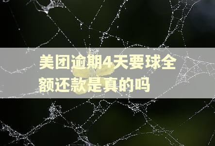 美团逾期4天要球全额还款是真的吗