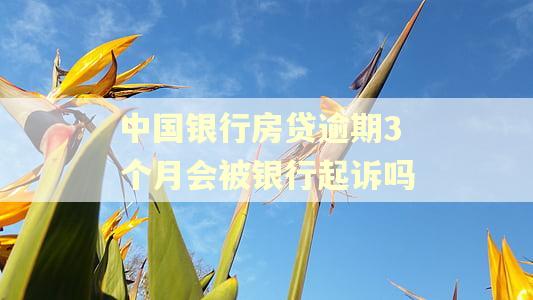 中国银行房贷逾期3个月会被银行起诉吗