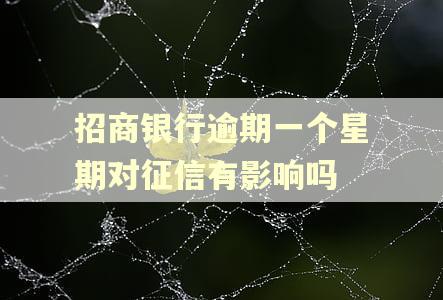 招商银行逾期一个星期对征信有影响吗