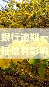 招商银行逾期一个星期对征信有影响吗