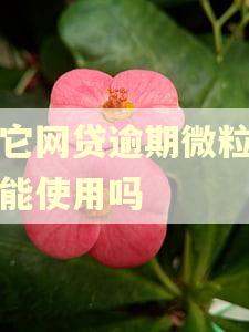 其它网贷逾期微粒贷还能使用吗 其它网贷逾期微粒贷还能使用吗