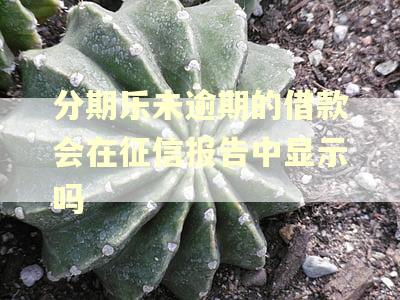 分期乐未逾期的借款会在征信报告中显示吗