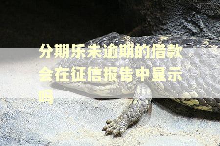 分期乐未逾期的借款会在征信报告中显示吗