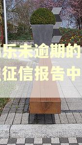 分期乐未逾期的借款会在征信报告中显示吗