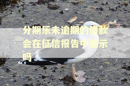 分期乐未逾期的借款会在征信报告中显示吗