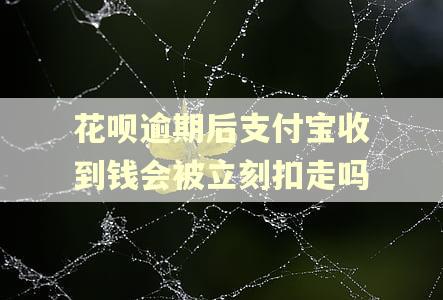 花呗逾期后支付宝收到钱会被立刻扣走吗