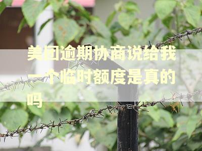 美团逾期协商说给我一个临时额度是真的吗
