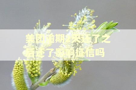美团逾期2天还了之后还了影响征信吗